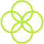icon (2)